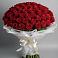 Букет 101 Красная роза Блэк Мэджик в Выборге