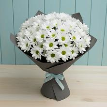 Букет цветов из:  Хризантемы #REPLACE_PRED# Выборге