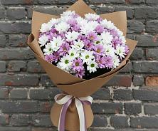 Букет цветов из:  Хризантемы #REPLACE_PRED# Выборге