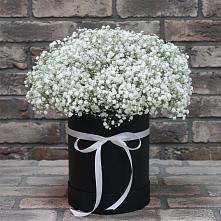 Цветочная композиция из Гипсофила в шляпной коробке в Выборге