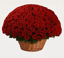 Премиум букет из: Розы в Выборге